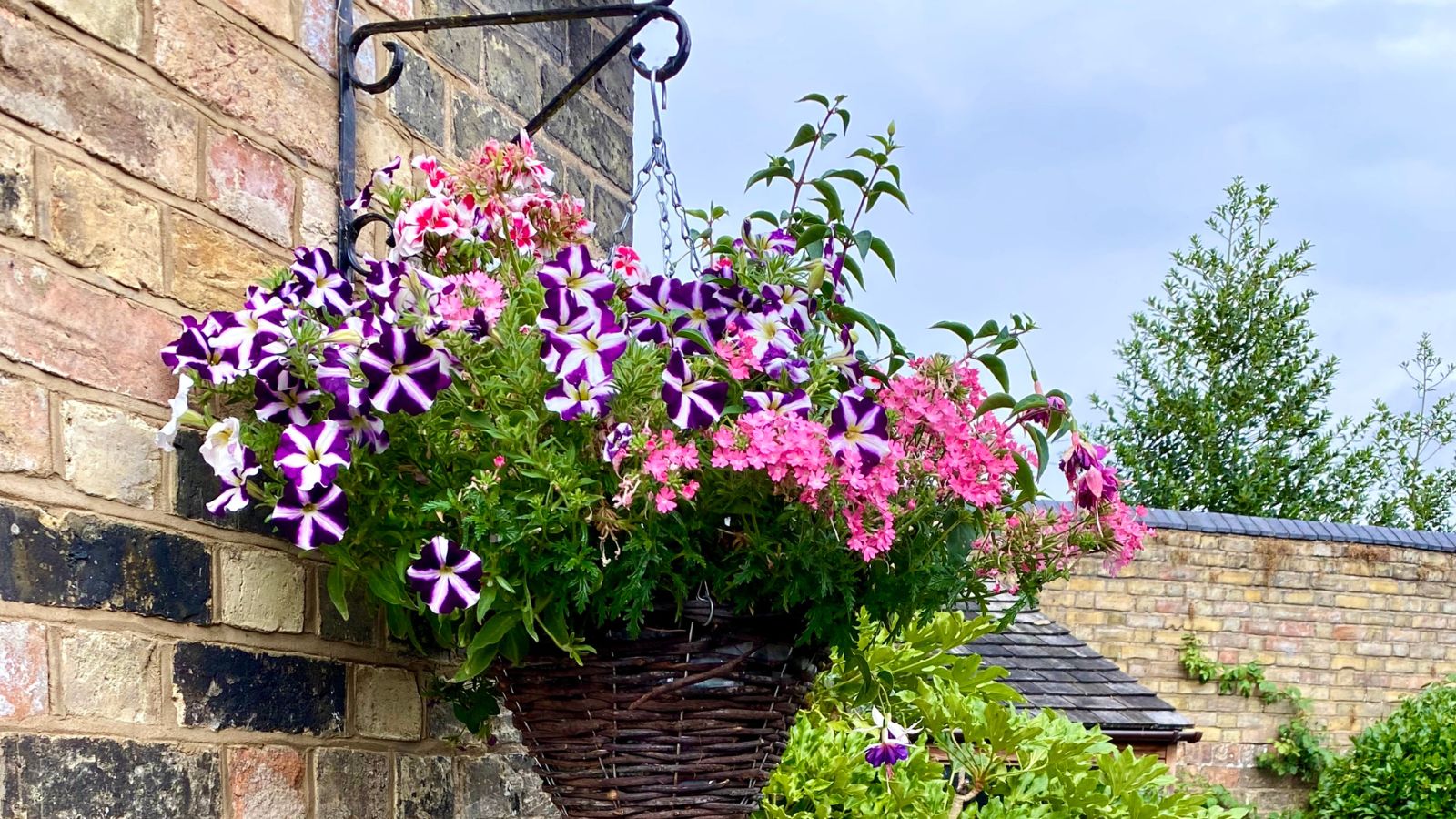 Cone-shaped wicker hanging basket with pink and purple flowers, outside a brick home