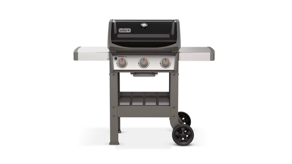 Best gas grills Top Ten Reviews