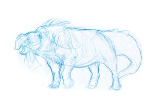 How to create a fantasy beast: find the shape