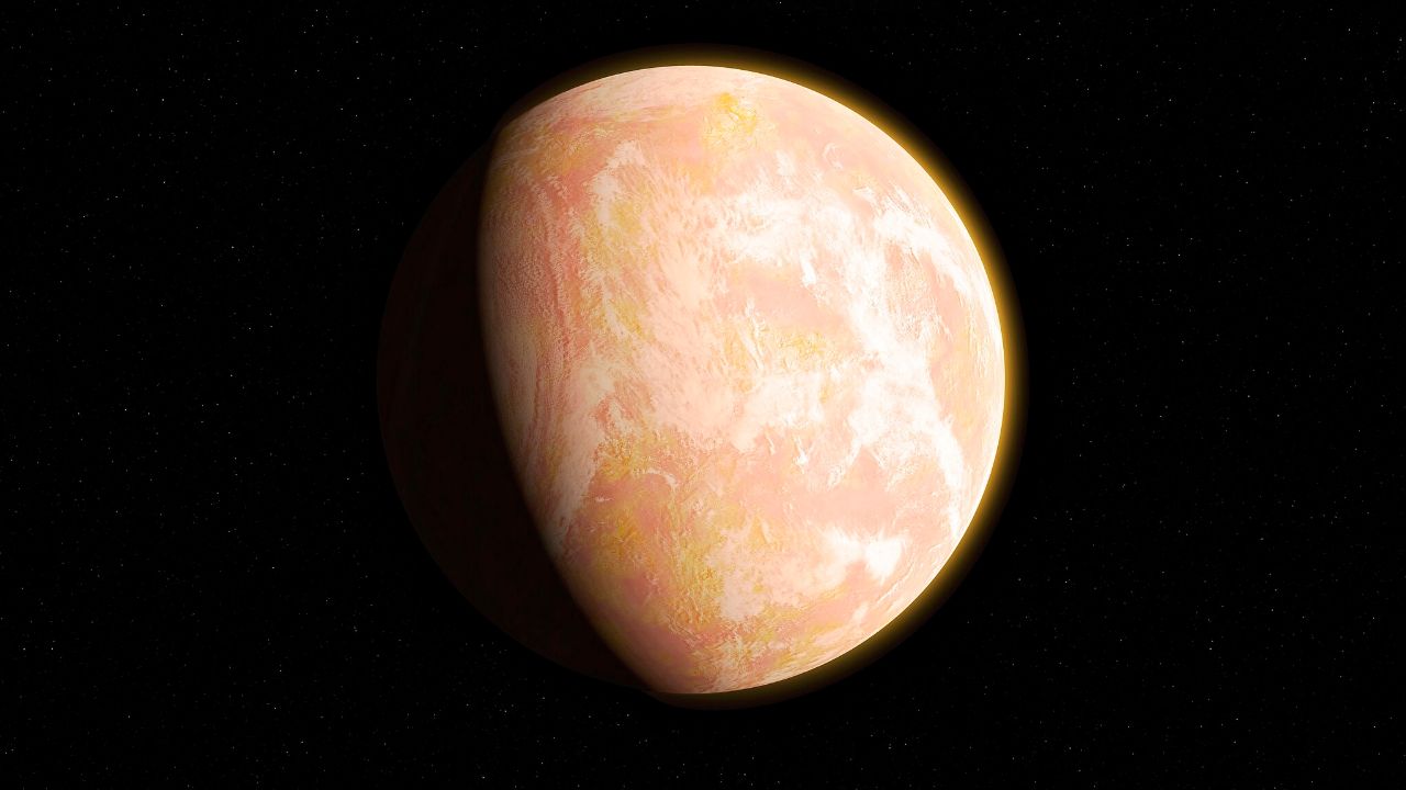 56 million years ago, Earth underwent rapid global warming. Here’s what it did to pollinators