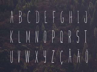 Free font: Skinny Bastard