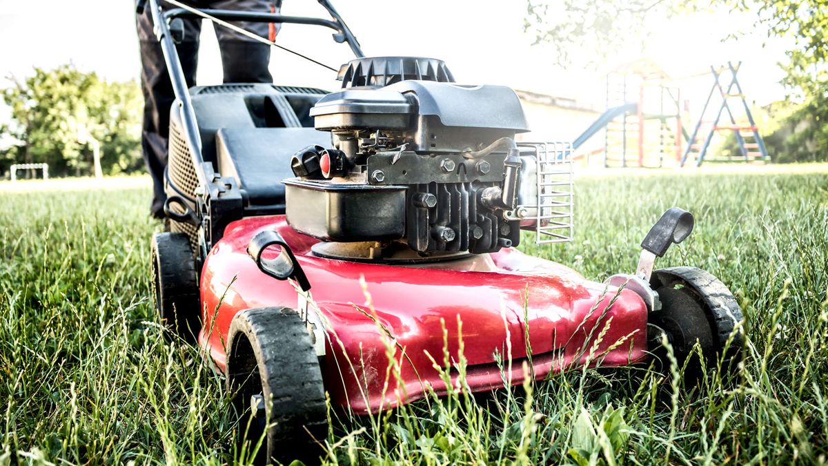 Front of red petrol lawn mower on long grass