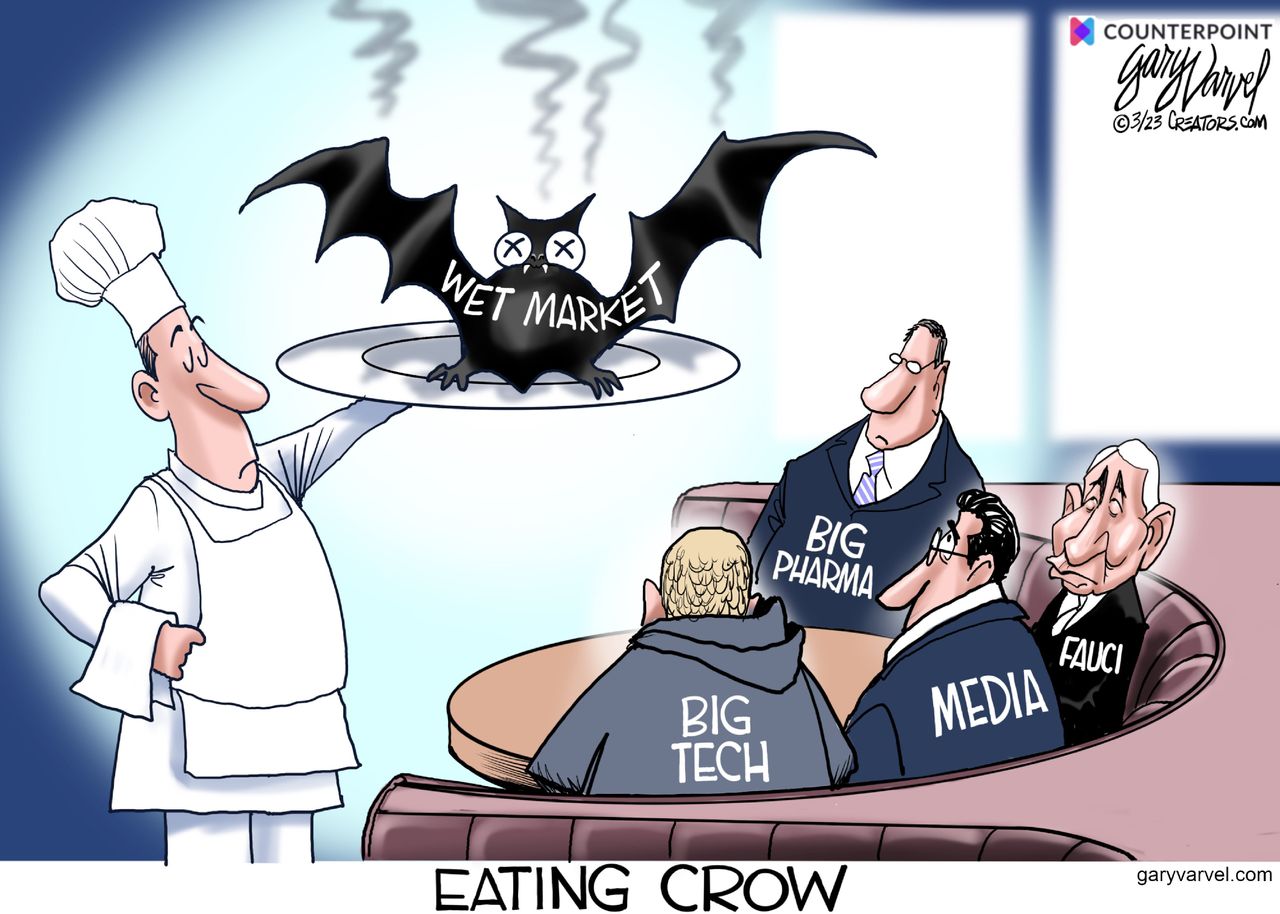 Political cartoon 