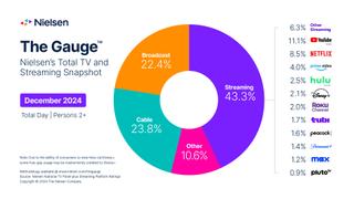 Nielsen's The Gauge