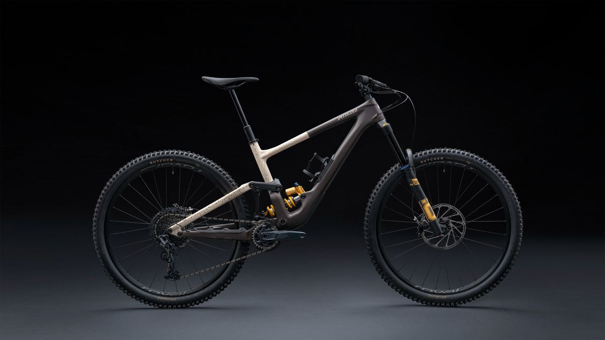 Specialized Enduro LTD