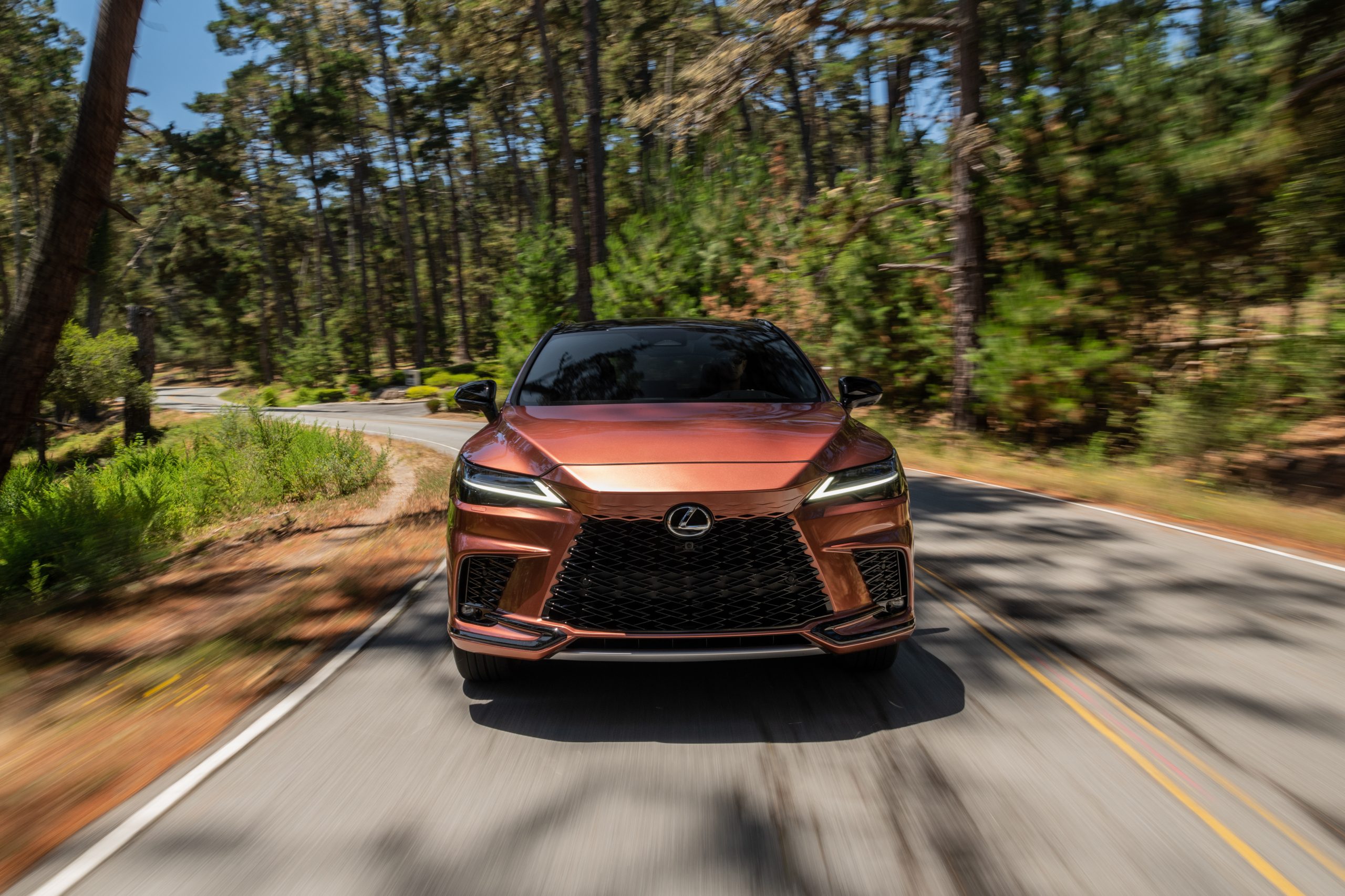 Images of the Lexus RX500H F Sport Performance