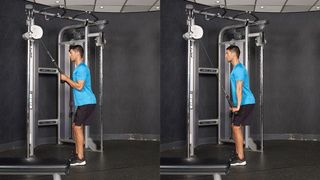 Cable rope triceps press-down