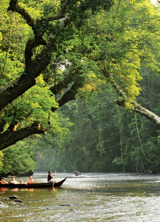 Taman Negara