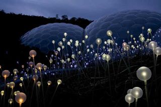 Bruce Monroe: Eden Project installation