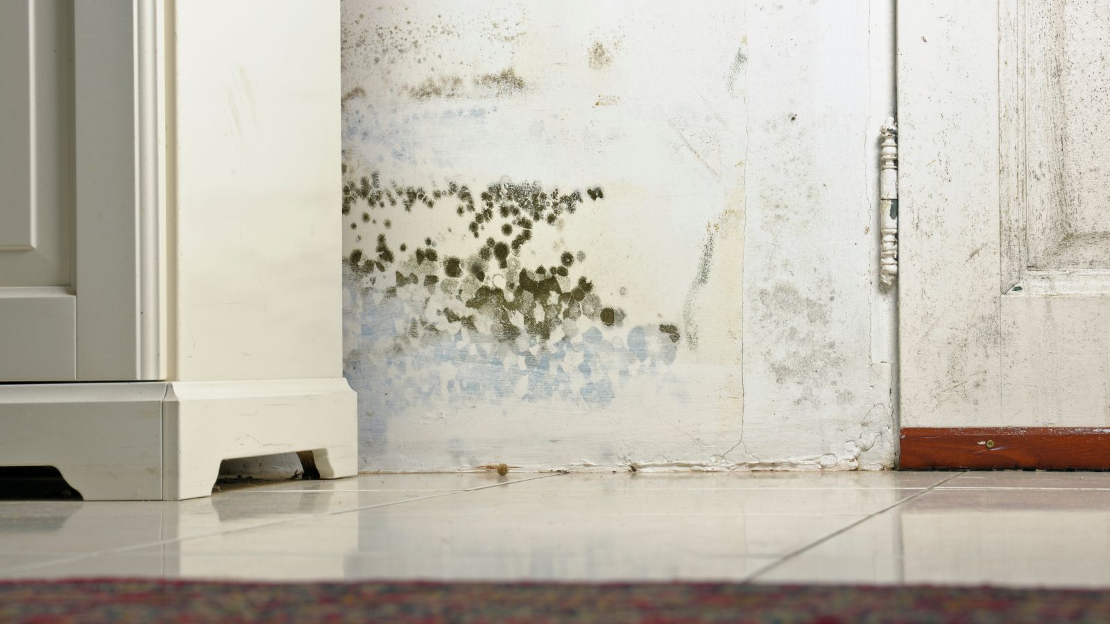 Mold or Mould Stains on Damp Wall and Door behind Cabinet due to condensation caused by lack of ventilation.