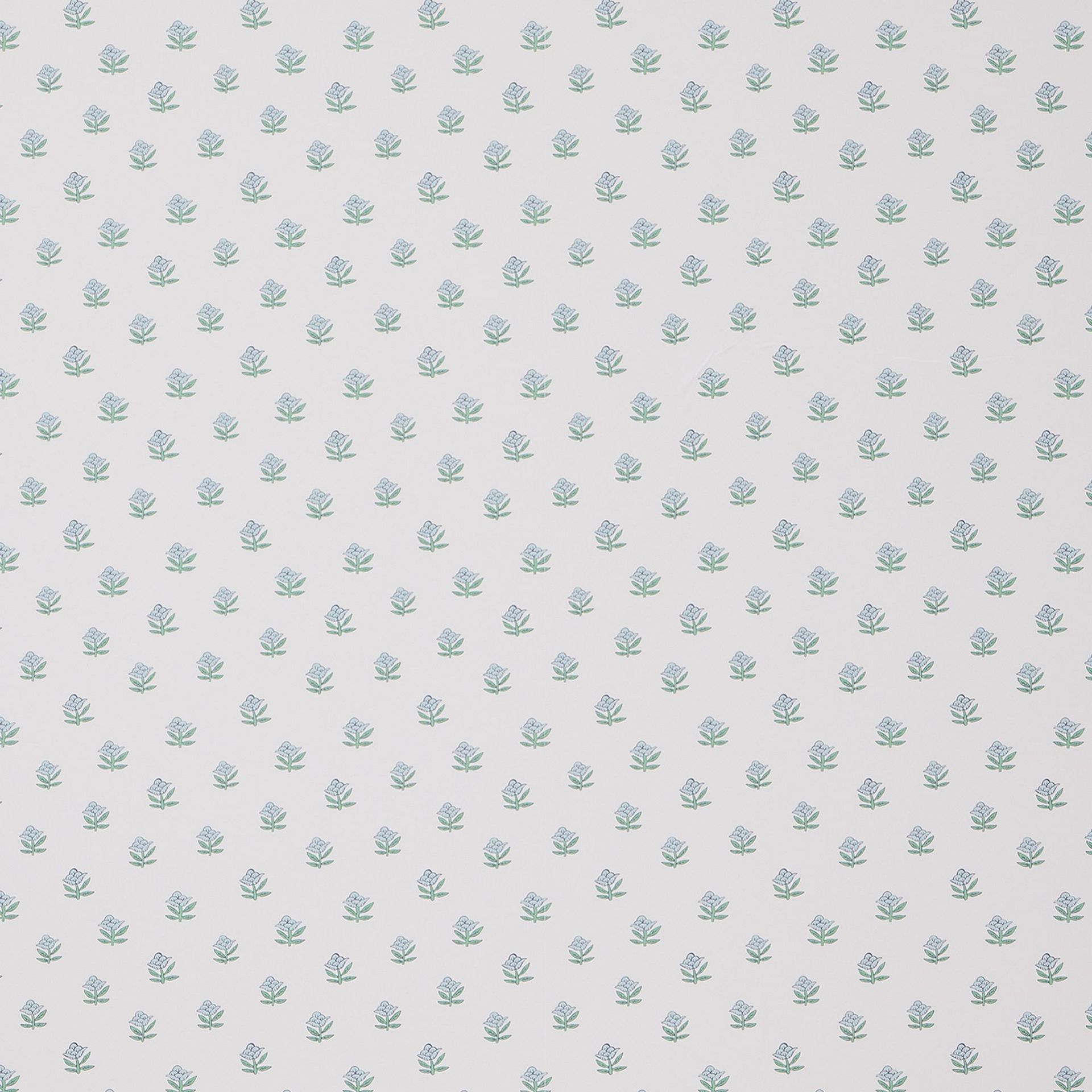 RHODE Begonia Wallpaper