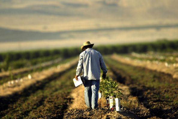 A farmer working land.