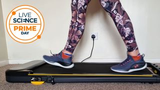 A Live Science Prime Day deals logo and a picture of our reviewer testing the Urevo Strol 2E under-desk treadmill