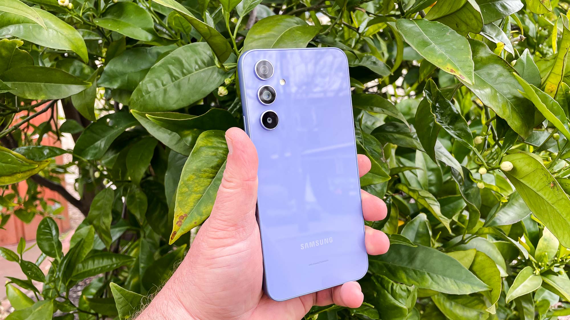 Samsung Galaxy A55 Alleged Official Renders And Colors 