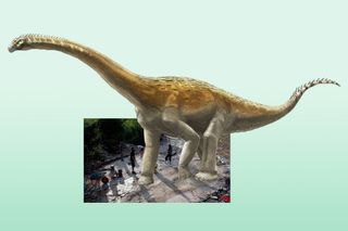 Plagne sauropod