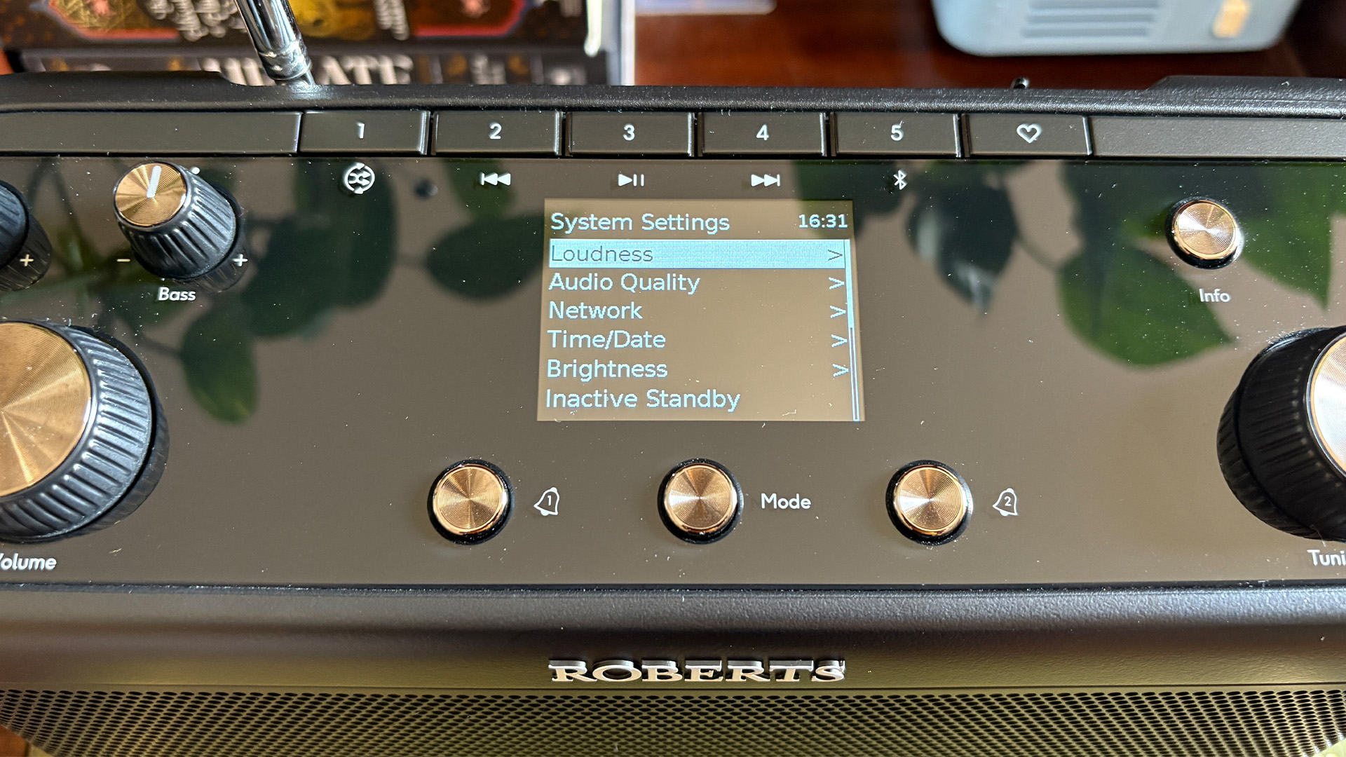 Roberts Stream 219 radio, close-up on menu settings on display