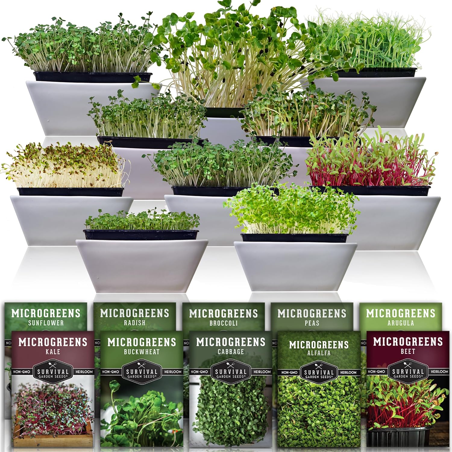 Microgreen Seeds Variety Pack &amp;ndash; 10 Heirloom Types for Indoor Sprouting &amp;ndash; Broccoli, Pea, Sunflower, Radish, Kale, Arugula &amp;amp; More &amp;ndash; High Germination Non-Gmo &amp;ndash; Survival Garden Seeds (seed Packs Only)