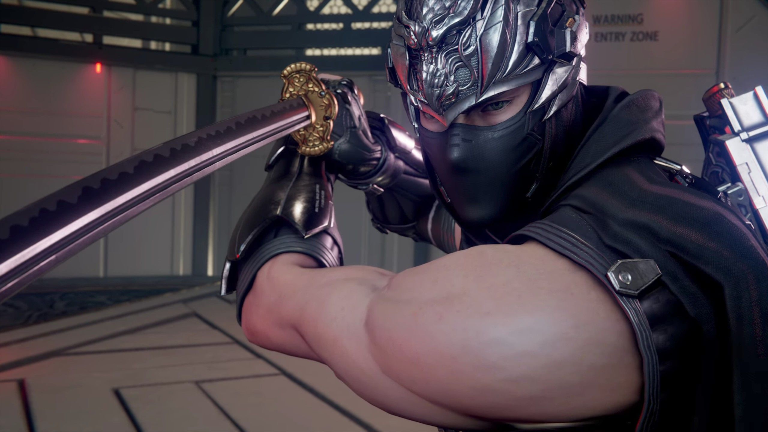 Ninja Gaiden 4 review