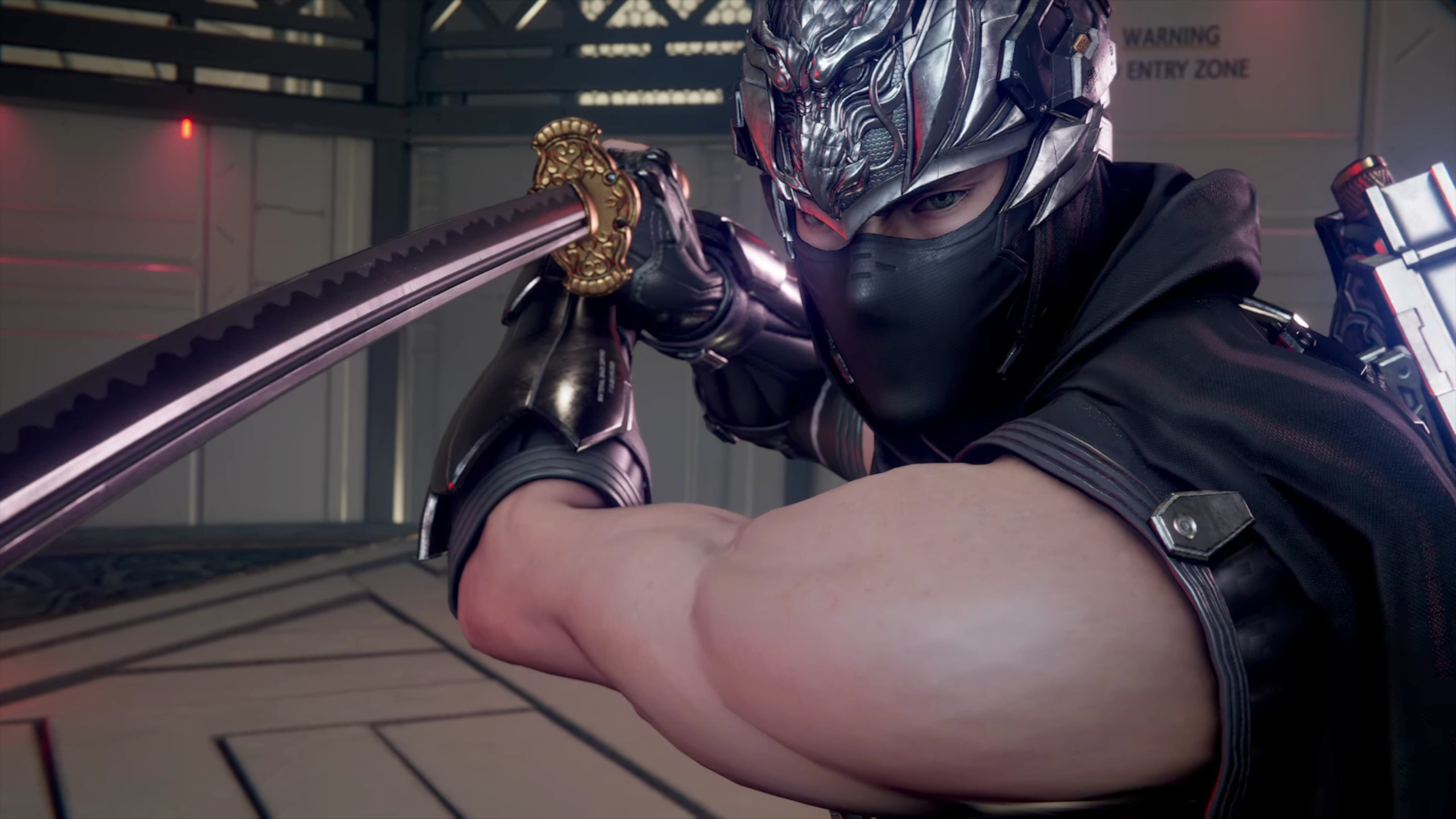 Ninja Gaiden 4