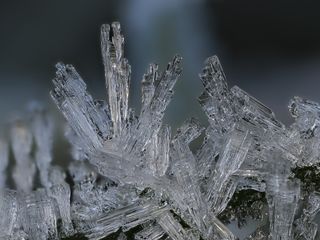 Super macro close up of frost