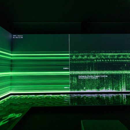 fondation cartier