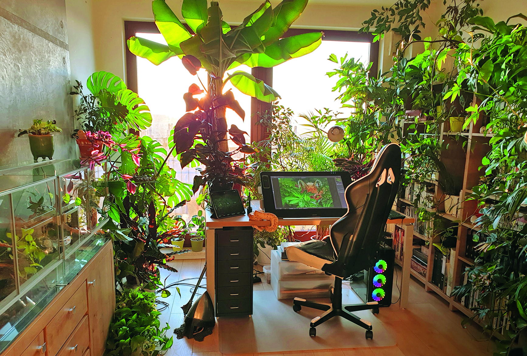 An artist studio full of plants