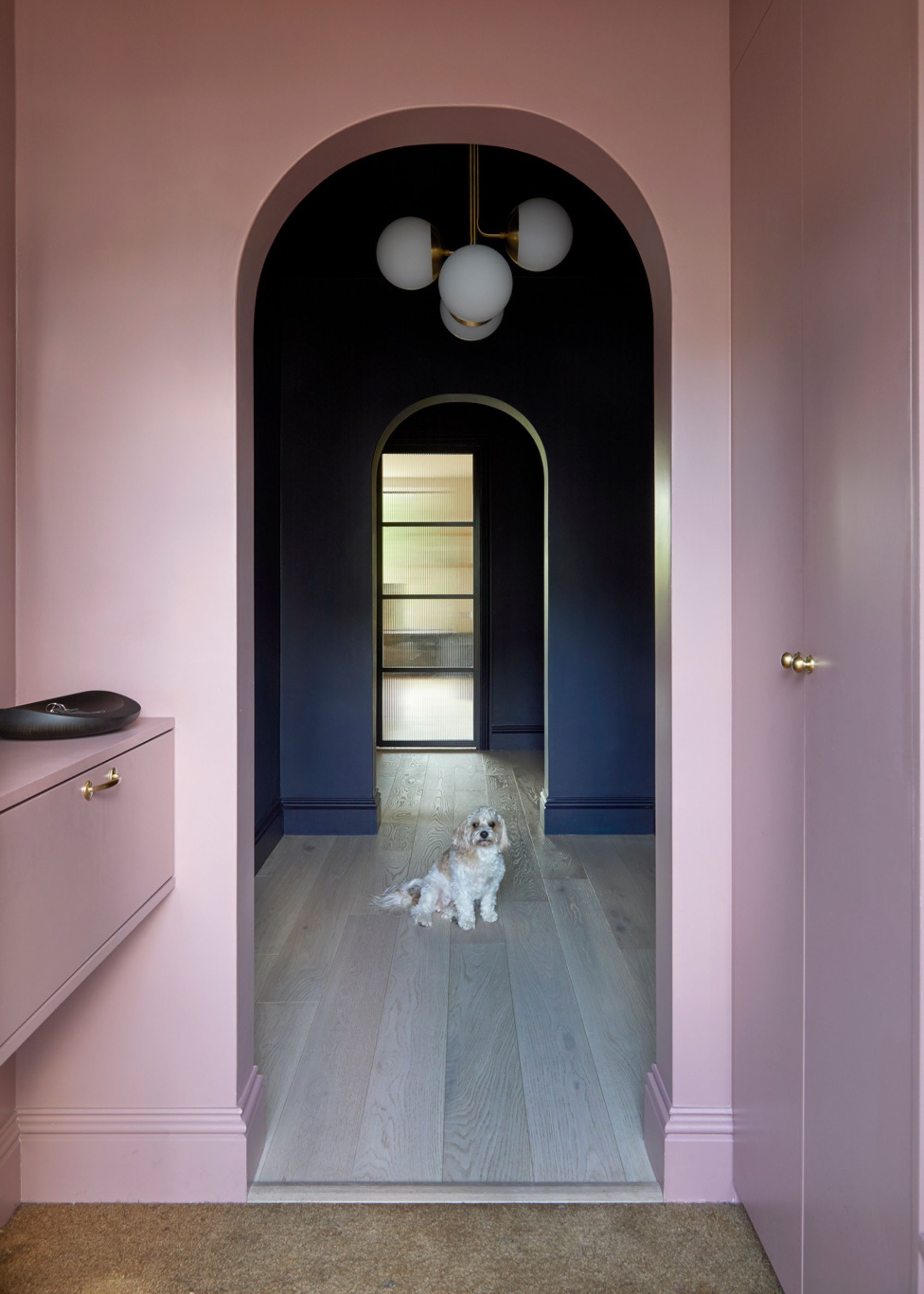 A pink arched closet leading out into a blue room with an arched doorway with a dog