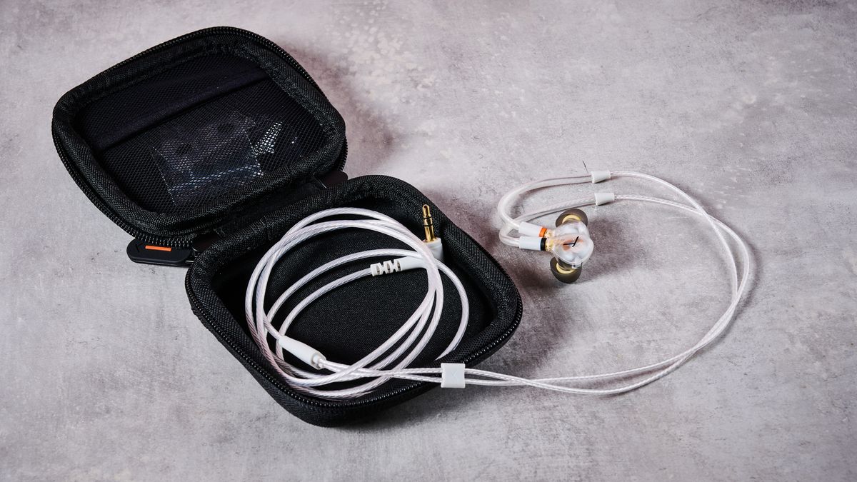 Beyerdynamic DT 30 IE earbuds with case