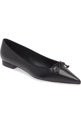 Landon Pointed Toe Ballet Flat