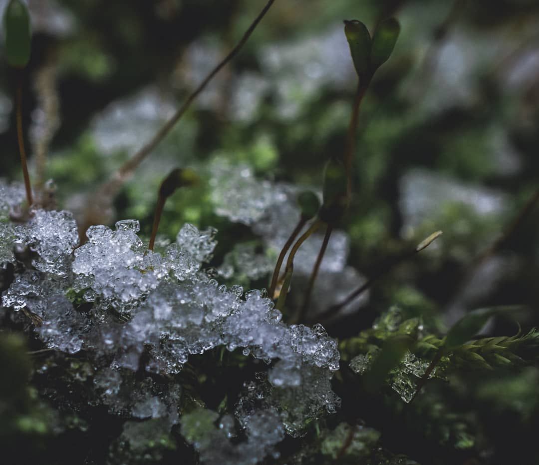Thurisaz Photography - Slovakia