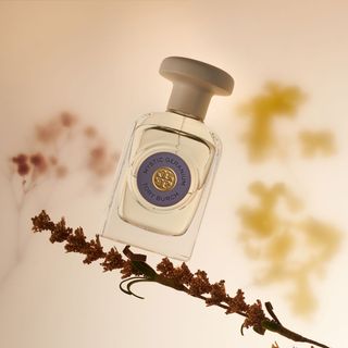 Tory Burch Mystic Geranium Eau de Parfum floral perfume shot on a flower stem