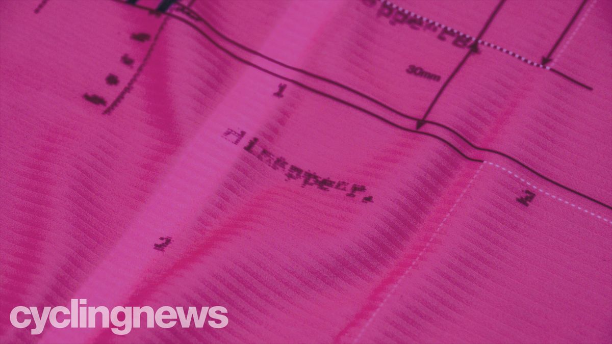 EF Education First-Nippo jersey