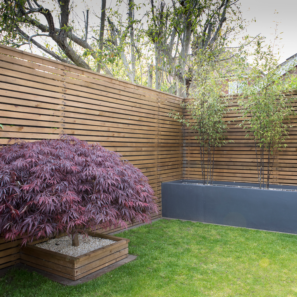 back garden with acer lawn and horizontal fencing