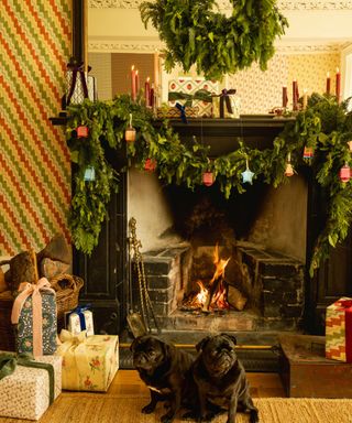 traditional fireplace with wallpaper, a christmas wreath, decorated garland and lots of gift wrapped presents with two black pugs sat on the hearth