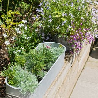 Planters with flowers on side of raised garden beds