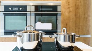 Stainless steel appliance and two pots on hob