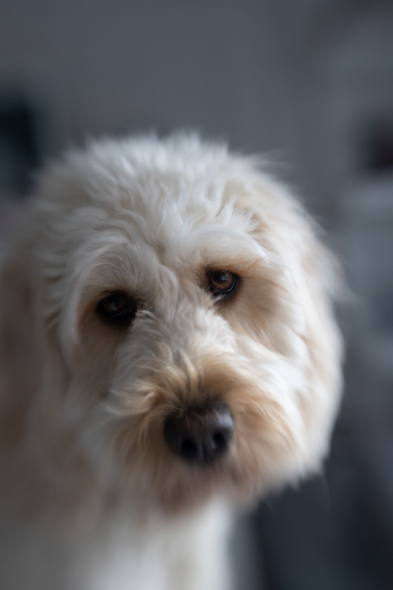 Lensbaby Double Glass II Optic review