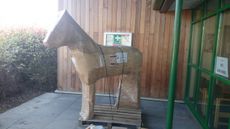 new-horse-e1430487080791.jpg