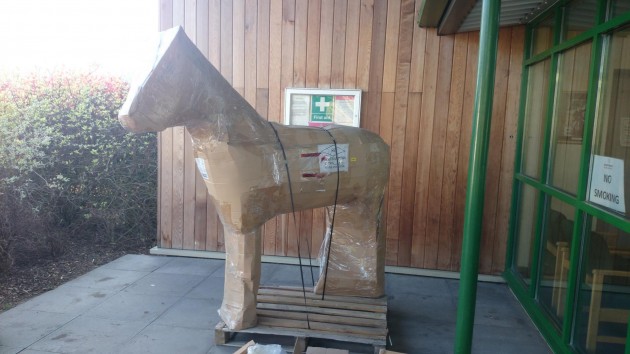 new-horse-e1430487080791.jpg