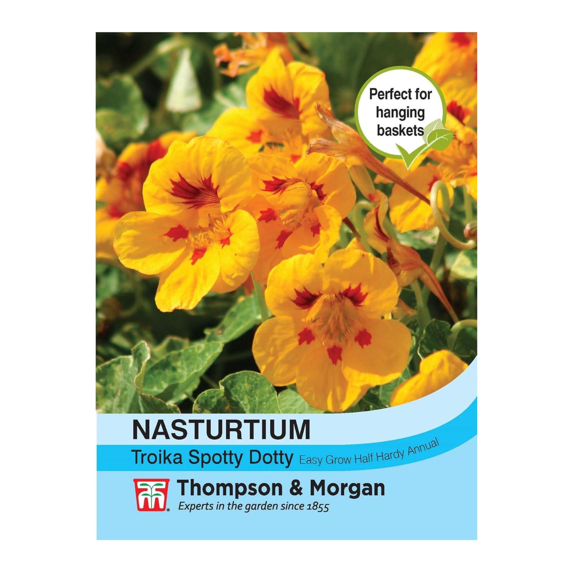 Thompson &amp;amp; Morgan - Flower - Nasturtium Troika Spotty Dotty