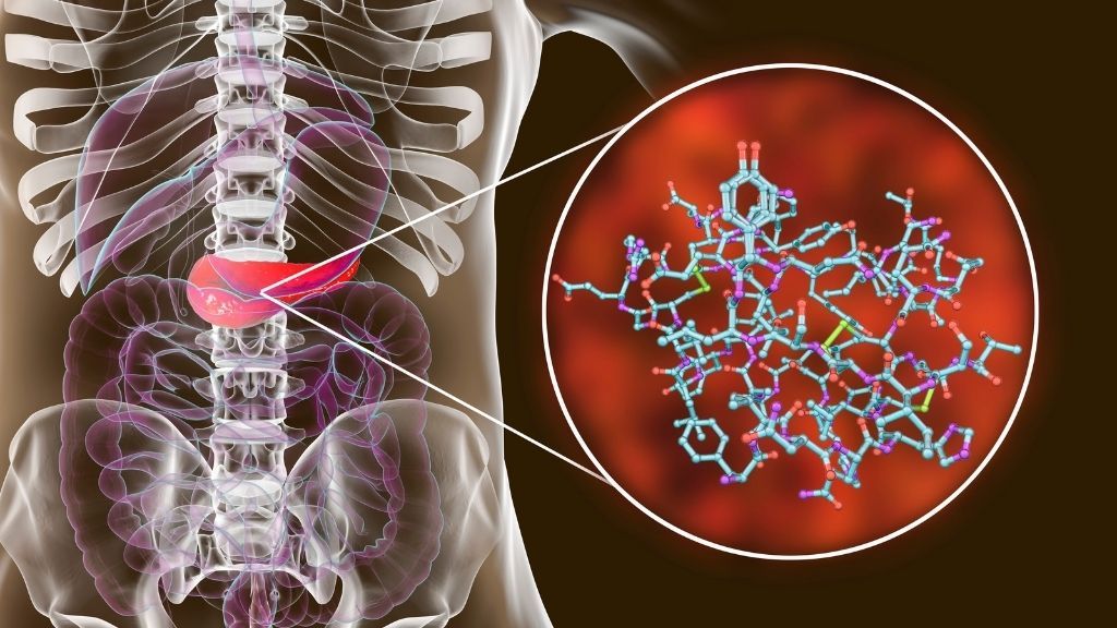 COVID-19 can infiltrate insulin-producing cells in the pancreas, study  suggests | Live Science