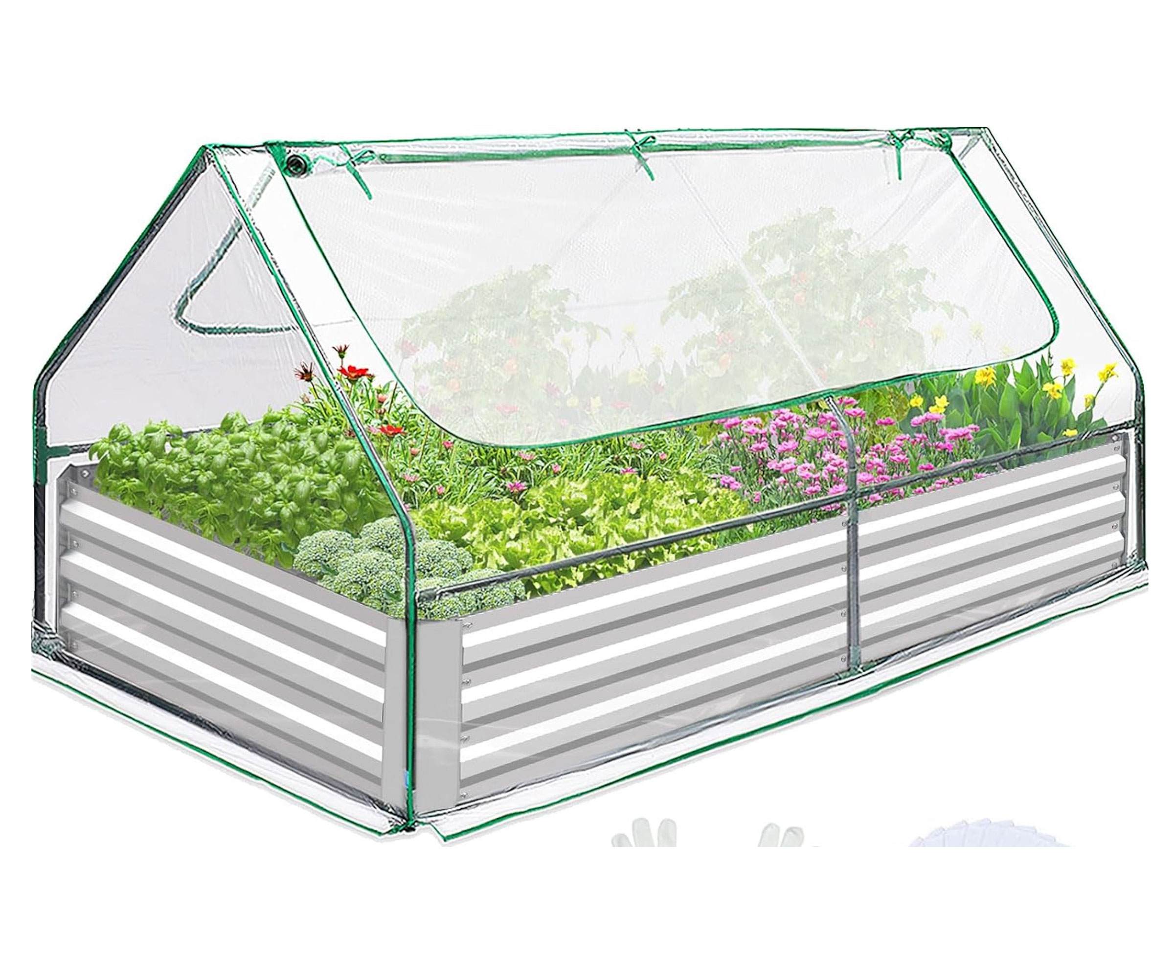 quictent raised bed with greenhouse tent cover