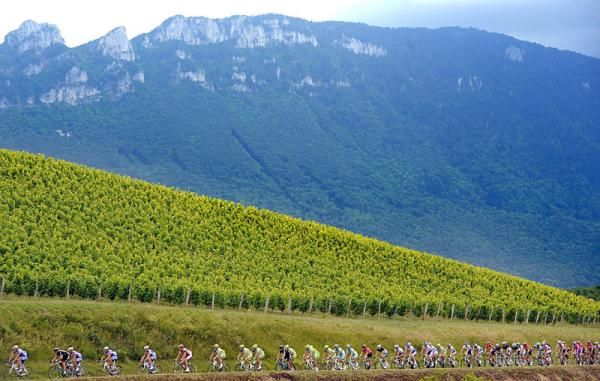 The peloton