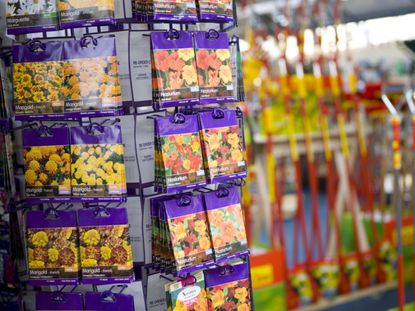 Seed Packets In The Store