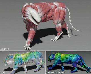 Muscle simulation was crucial to creating an authentic-looking animal, with two skin layers over the top