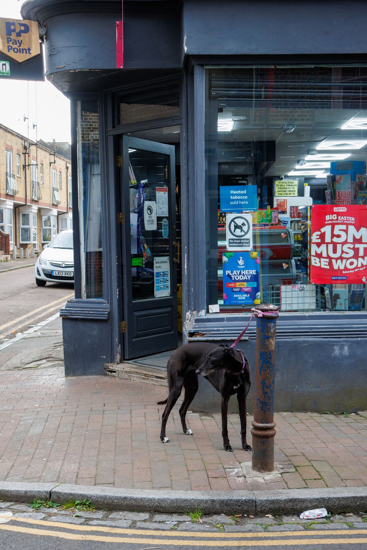 Canon PowerShot V1 photo of a dog in front of a shop