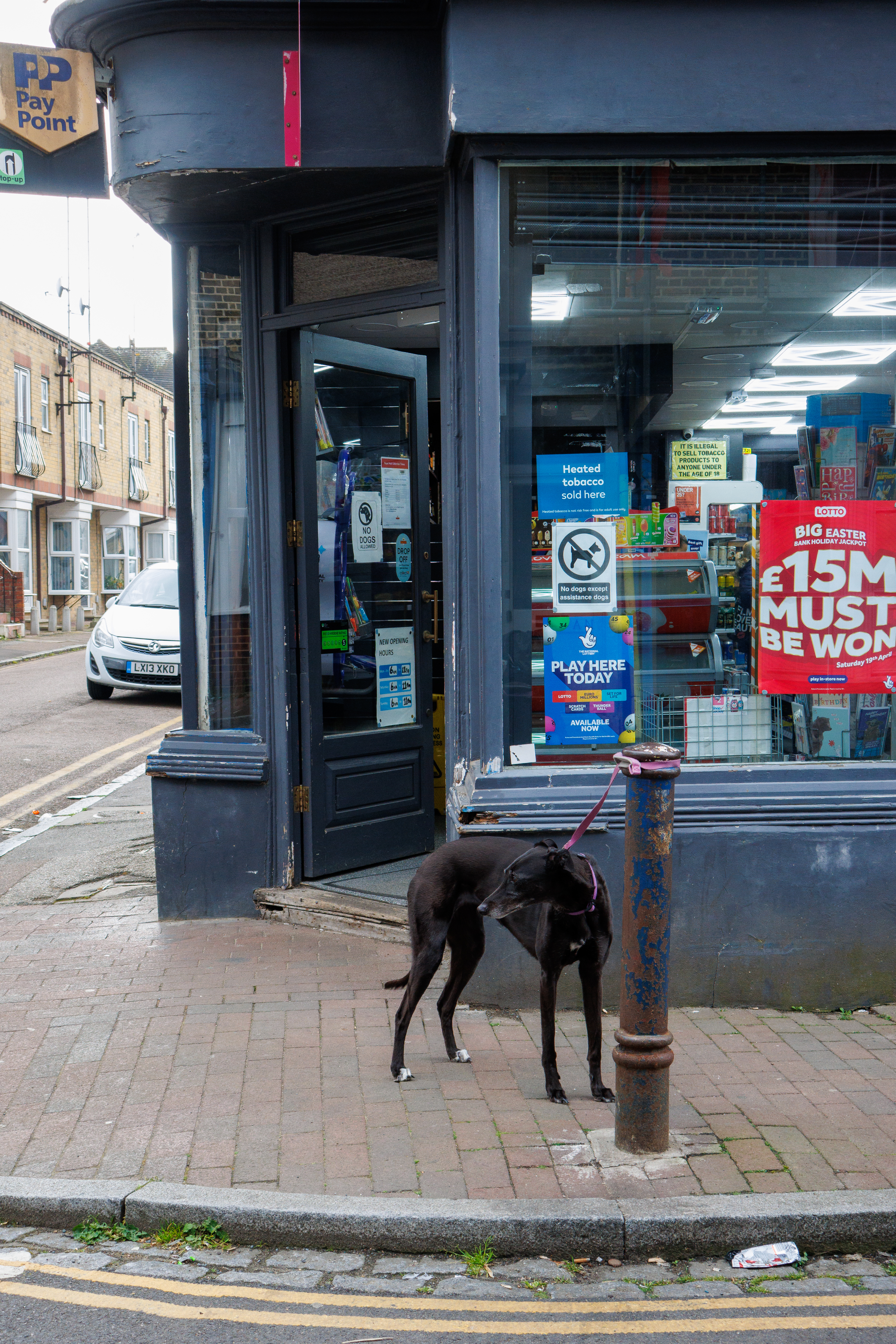 Canon PowerShot V1 photo of a dog in front of a shop