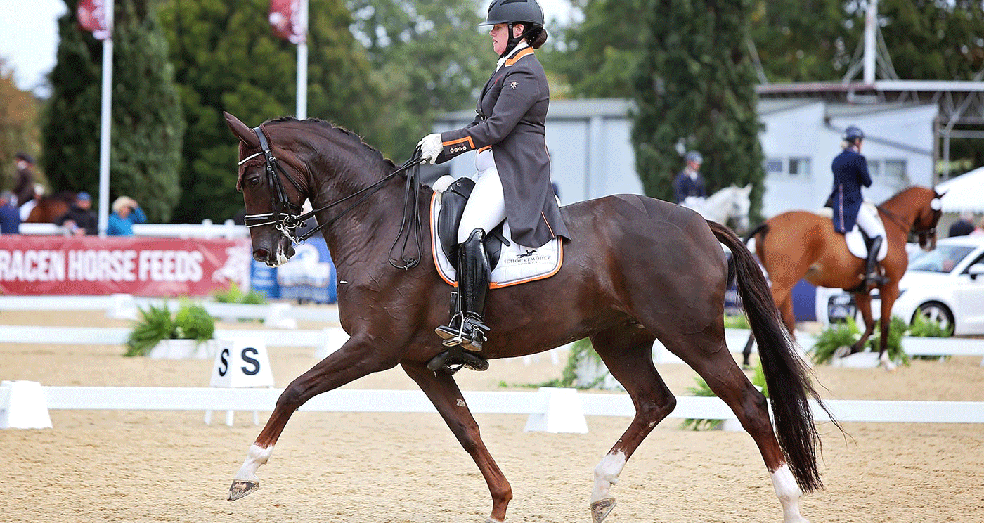 Davina-Dressage-shot