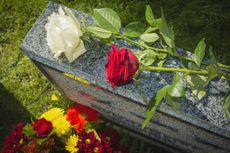 White And Red Rose On A Tombstone 