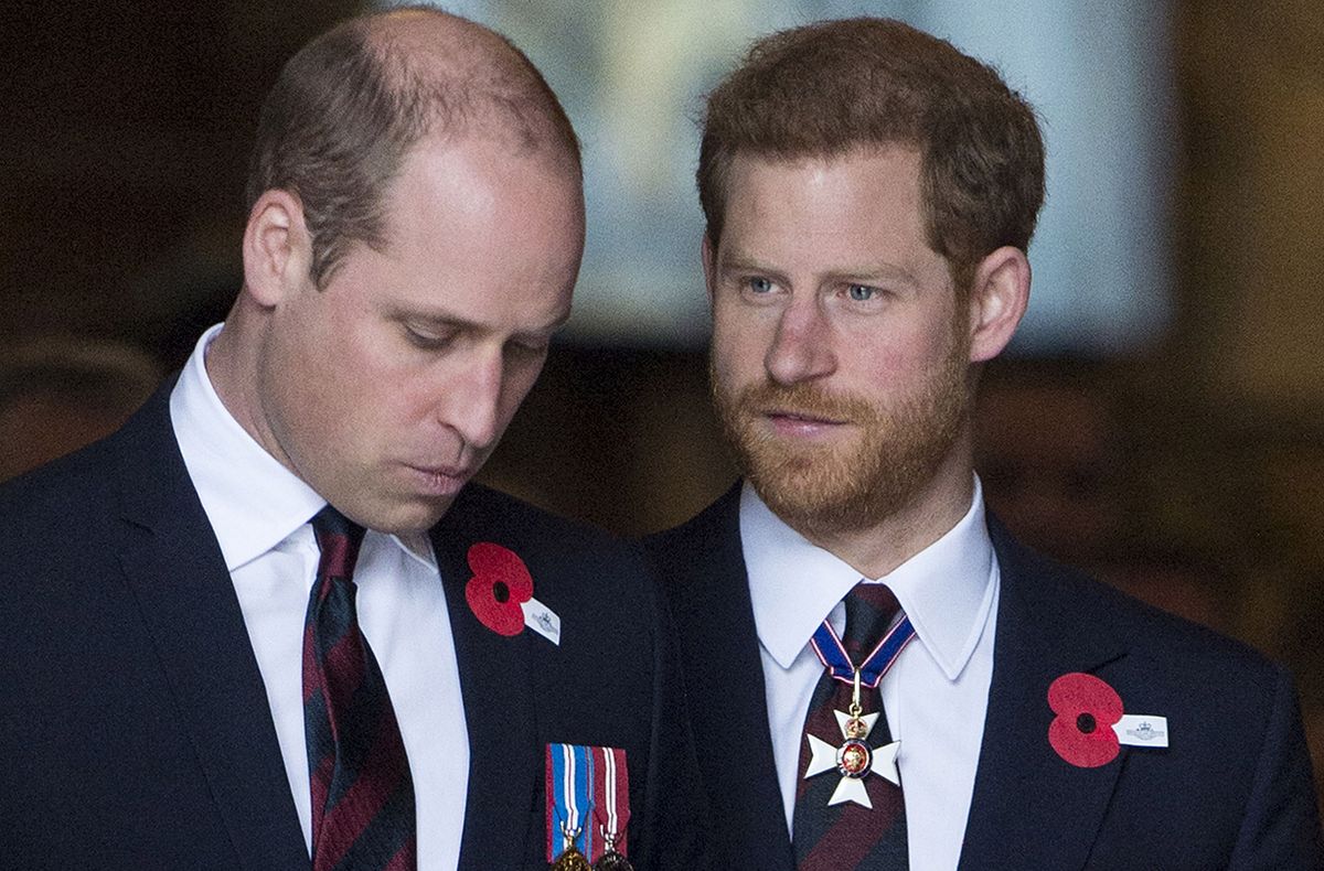 Princes Harry And William Deliver Moving Speech To Honour Princess